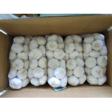 Paquets d&#39;ail chinois 1kg / sac, 10kg / carton